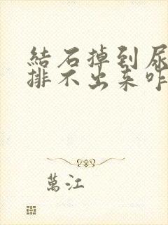 结石掉到尿道里排不出来咋办