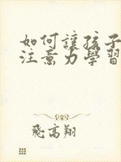 如何让孩子集中注意力学习