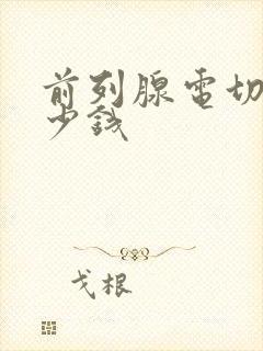 前列腺电切术多少钱