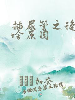 插尿管之后漏尿啥原因