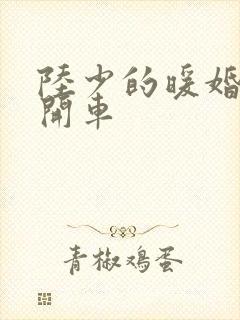 陆少的暖婚新妻开车