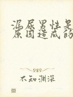 漏尿男性是什么原因造成的