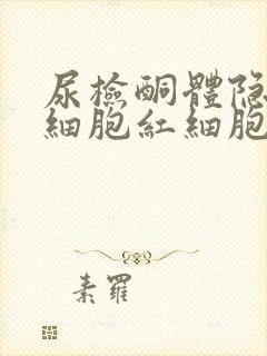 尿检酮体隐血白细胞红细胞高