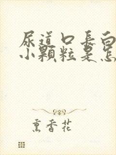 尿道口长白色的小颗粒是怎么回事