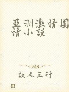 亚洲激情图区激情小说