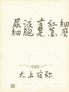 尿液有红细胞白细胞是怎么回事