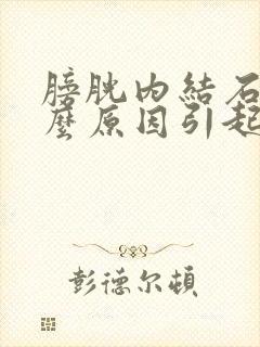 膀胱内结石是什么原因引起的