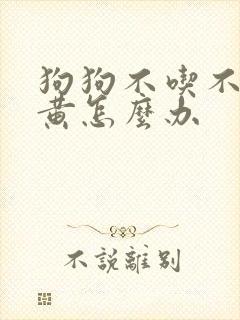 狗狗不吃不喝尿黄怎么办