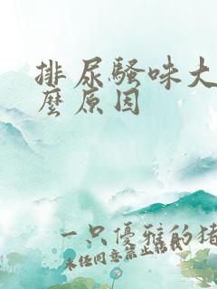 排尿骚味大是什么原因