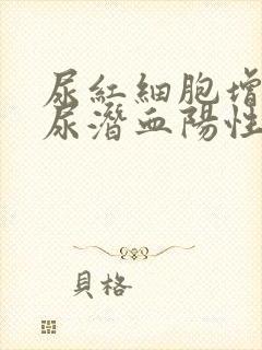 尿红细胞增高,尿潜血阳性是什么意思