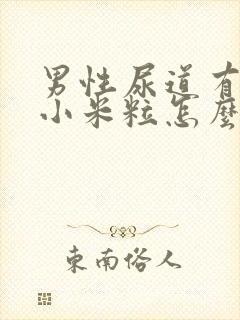 男性尿道有小肉小米粒怎么回事