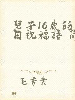 儿子16岁的生日祝福语 简短独特