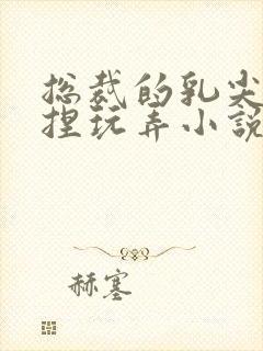 总裁的乳尖被揉捏玩弄小说