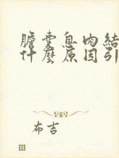 胆囊息肉结石是什么原因引起的