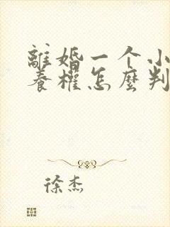 离婚一个小孩抚养权怎么判定