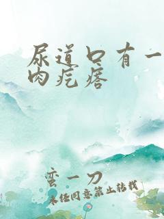 尿道口有一圈小肉疙瘩