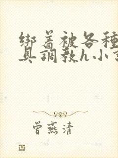 绑着被各种性用具调教h小说