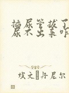 插尿管拔了以后尿不出来咋办