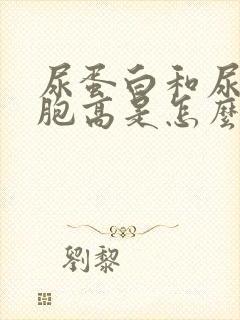 尿蛋白和尿红细胞高是怎么回事