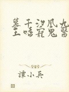 慕千汐凰九夜邪王嗜宠鬼医狂妃免费阅读