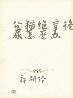 公猫绝育后还乱尿怎么办