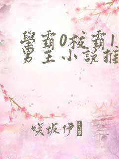 学霸0校霸1双男主小说推荐