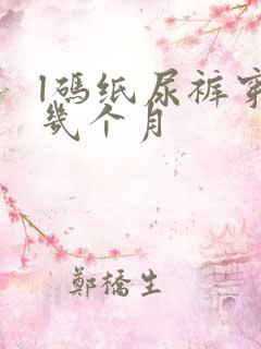 l码纸尿裤穿到几个月