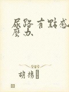 尿路有点感染怎么办