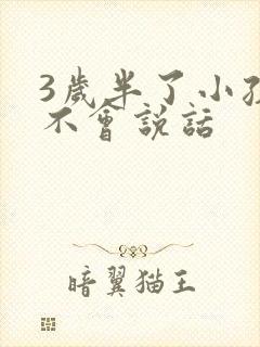 3岁半了小孩还不会说话