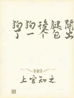 狗狗后腿关节肿了一个包出来