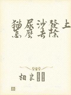 猫尿沙发上骚味怎么去除