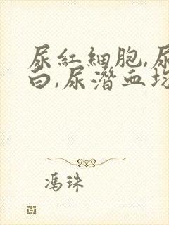 尿红细胞,尿蛋白,尿潜血均高是什么原因