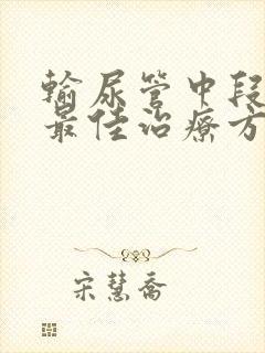 输尿管中段结石最佳治疗方法