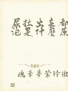 尿拉出来都是泡泡是什么原因