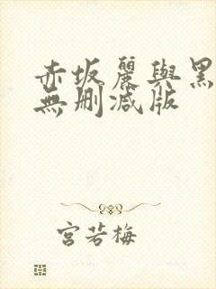 赤坂丽与黑人的无删减版