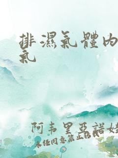 排湿气体内去湿气