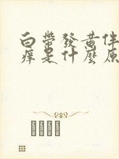 白带发黄伴有瘙痒是什么原因