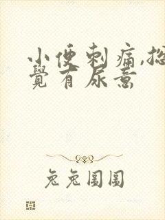 小便刺痛,总感觉有尿意