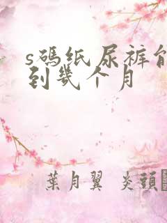 s码纸尿裤能穿到几个月