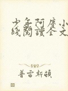 少年阿庆小说在线阅读全文