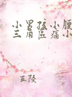 小男孩小腹下面三角区痛小男孩