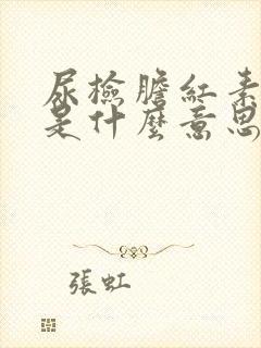 尿检胆红素1十是什么意思