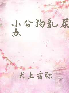 小公狗乱尿怎么办