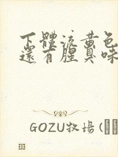 下体流黄色液体还有腥臭味是什么原因