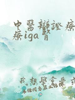 中医辩证疗法治疗iga肾