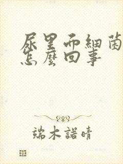 尿里面细菌高是怎么回事