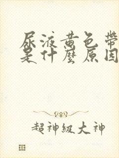 尿液黄色带泡沫是什么原因