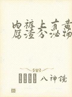 内裤上有黄色豆腐渣分泌物