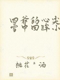 四爷的心尖宠妃雪中回眸小说免费完本