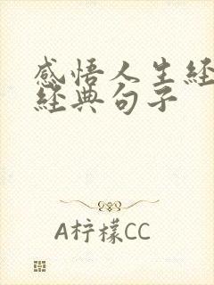 感悟人生经历的经典句子